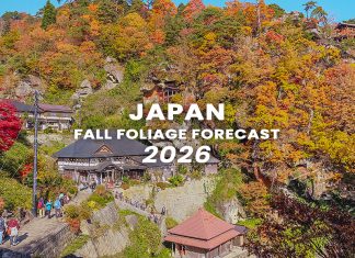 ตารางพยากรณ์ใบไม้เปลี่ยนสี ญี่ปุ่น 2026 ละเอียดยิบ 170 จุด (อัปเดตล่าสุด 3 ก.ย.) พยากรณ์ใบไม้เปลี่ยนสี ญี่ปุ่น 2026